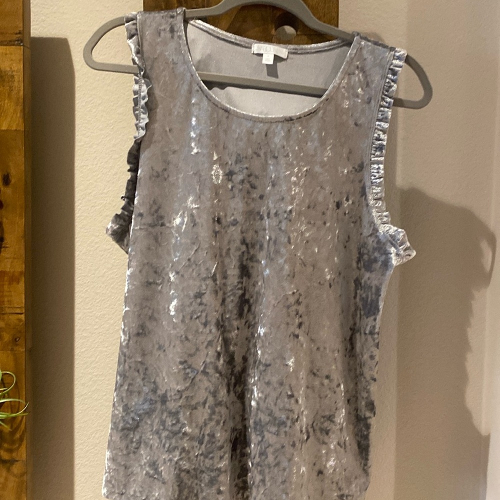 Abound Crushed Velvet Silver Top